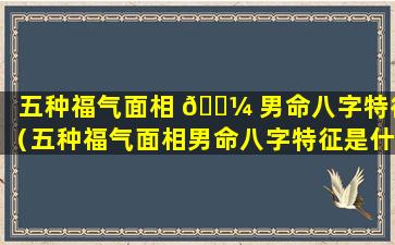 五种福气面相 🐼 男命八字特征（五种福气面相男命八字特征是什么）